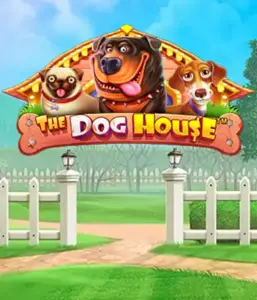 Опыт Pragmatic Play в The Dog House, демонстрирующий прекрасное путешествие в мире игривых щенков. Наслаждайтесь игровых элементах включая бесплатные вращения, идеальных для доставления волнующих выигрышей. Обязательно для энтузиастов животных легкую тематику с шансом на крупные выигрыши.